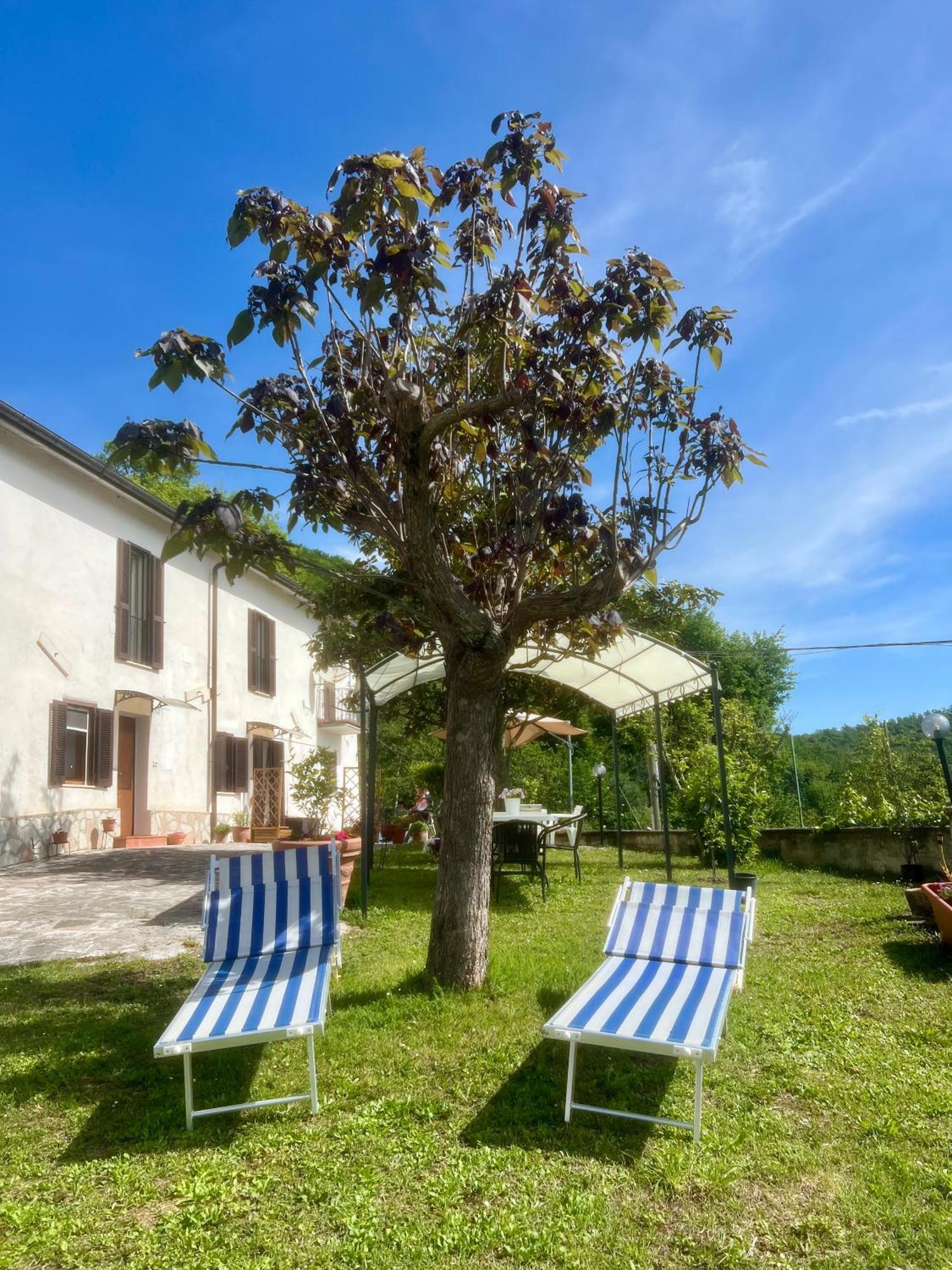 Chez Vittoria Hotel Greccio ภายนอก รูปภาพ